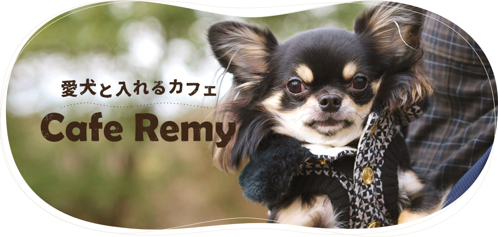 神奈川県平塚市のドッグカフェ Cafe Remyの1枚目