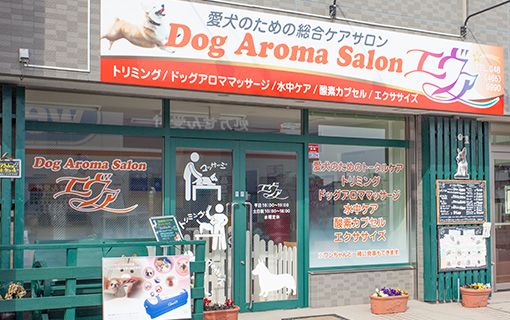 埼玉県朝霞市のドッグカフェ 愛犬のためのトータルケアサロンエヴァのサムネイルのサムネイル2枚目