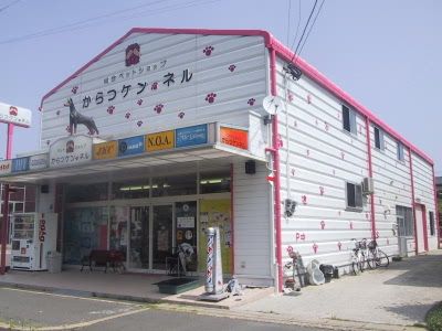 佐賀県唐津市のドッグカフェ ペットショップからつケンネルのサムネイル1枚目
