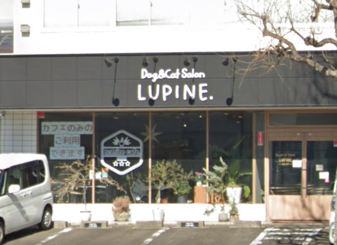 宮城県仙台市宮城野区のドッグカフェ Dog&Cat Salon LUPINE. nomine cafe.のサムネイルのサムネイル1枚目