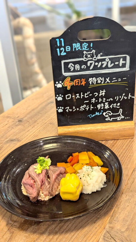 コテカフェ わんこの日 ワンプレート 1枚目