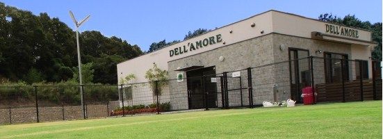 DELL'AMORE のサムネイル