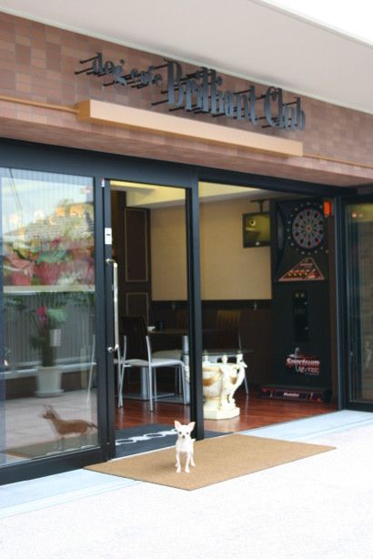 大阪府大阪市都島区のドッグカフェ dogcafe Brilliant Clubの1枚目