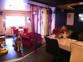 東京都中野区のドッグカフェ トリミング&バール スクウのサムネイルのサムネイル2枚目