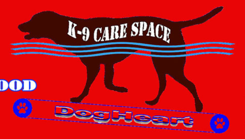 愛知県豊川市のドッグカフェ K9 Care Space DogHeartの5枚目