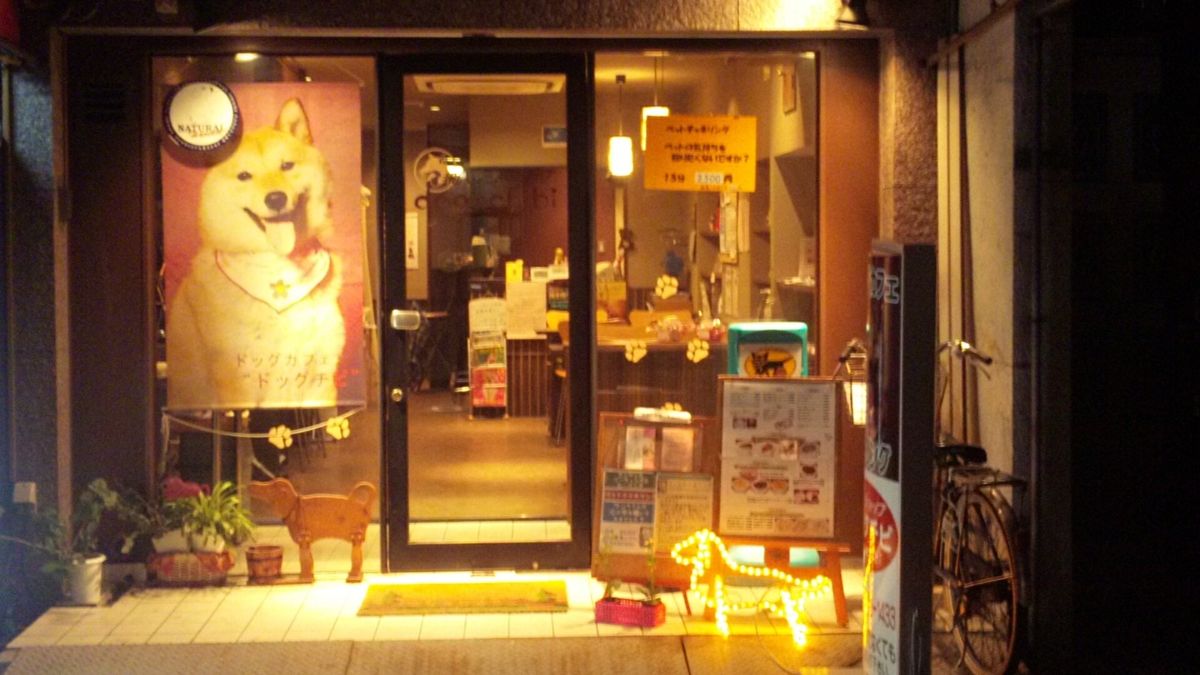 大阪府大阪市生野区のドッグカフェ ドッグチビのサムネイルのサムネイル2枚目