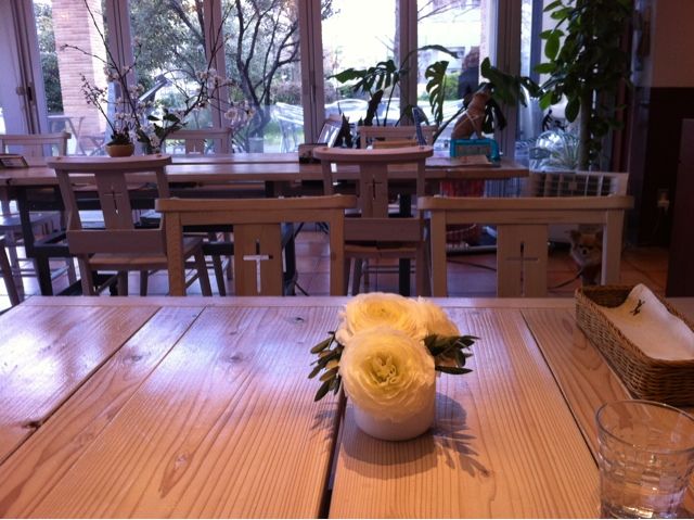 広島県広島市中区のドッグカフェ ワイズドッグカフェ ル・ジャルダンのサムネイルのサムネイル2枚目