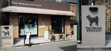 大阪府高槻市のドッグカフェ Tea House DOG CAFE ぷらっとわんのサムネイルのサムネイル1枚目