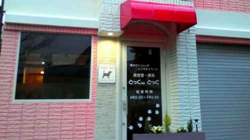 東京都葛飾区のドッグカフェ 美容室・喫茶 どっくwどっぐのサムネイルのサムネイル1枚目