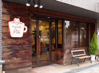 大阪府大阪市鶴見区のドッグカフェ Dog Cafe PUのサムネイルのサムネイル1枚目
