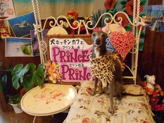 埼玉県さいたま市見沼区のドッグカフェ 愛犬ケーキ&豪華犬おせち プリプリ *PRINCE & PRINCESS*のサムネイルのサムネイル1枚目