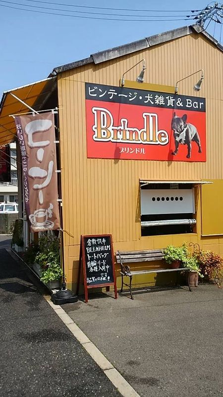 広島県広島市南区のドッグカフェ BLINDLEの1枚目