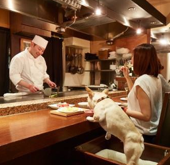 東京都港区のドッグカフェ やさいや 六本木店のサムネイルのサムネイル2枚目