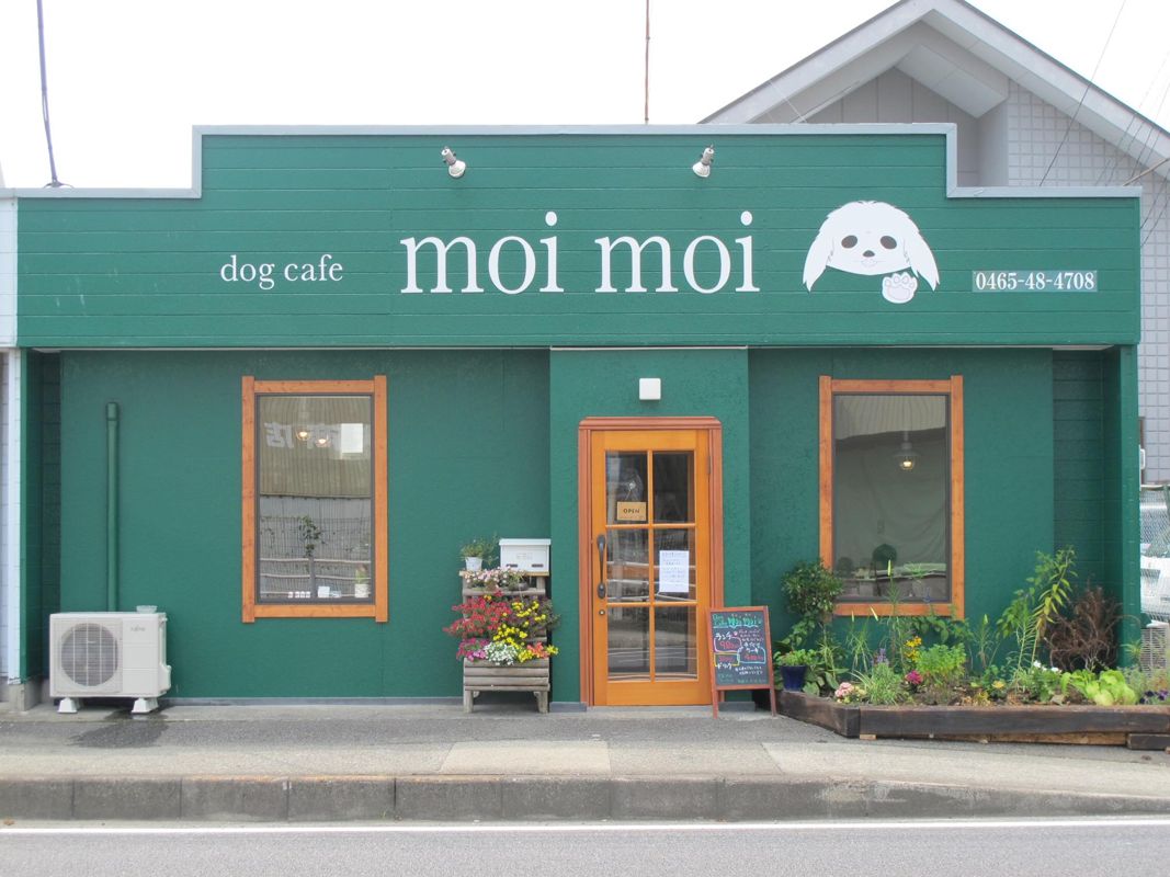 神奈川県小田原市のドッグカフェ dog cafe moi moiのサムネイル1枚目