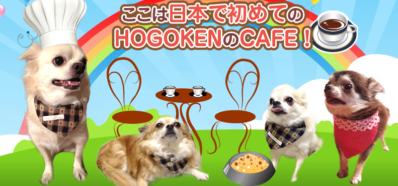 大阪府大阪市北区のドッグカフェ HOGOKEN CAFEの1枚目