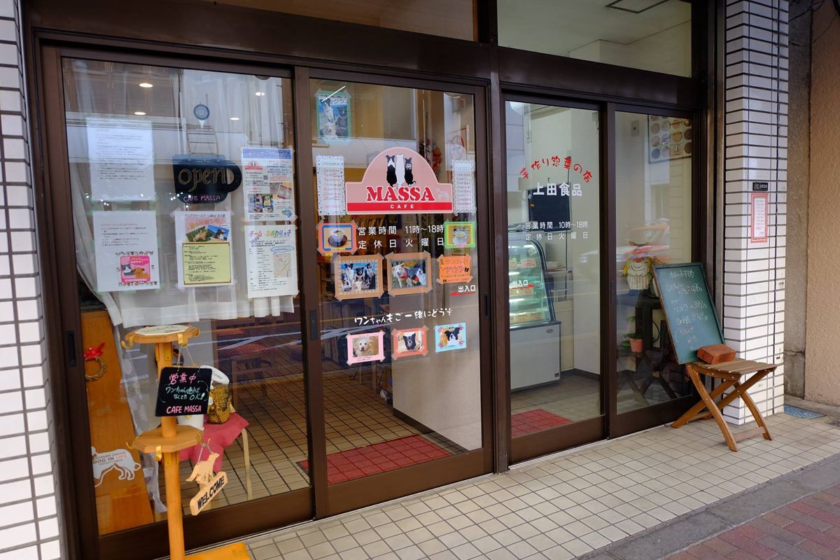 東京都江戸川区のドッグカフェ CAFE MASSAのサムネイルのサムネイル1枚目