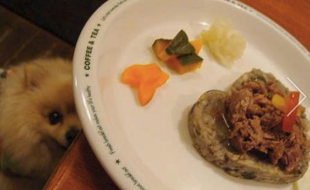 群馬県高崎市のドッグカフェ DOG STYLE cafeのサムネイルのサムネイル2枚目