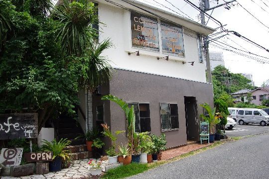 神奈川県横須賀市のドッグカフェ Cafe WINDYのサムネイルのサムネイル1枚目