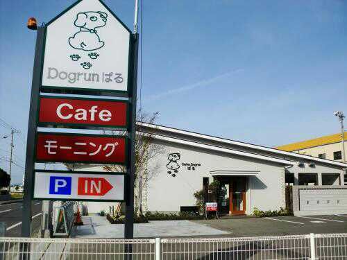 愛媛県松山市のドッグカフェ ぱるCafe&Dogrunのサムネイルのサムネイル1枚目