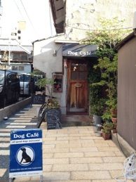 京都府京都市中京区のドッグカフェ Dog Cafeのサムネイルのサムネイル1枚目