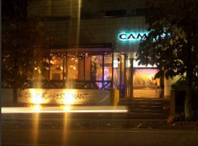 千葉県松戸市のドッグカフェ 自然素材の料理店 Organic CAMOOのサムネイルのサムネイル1枚目