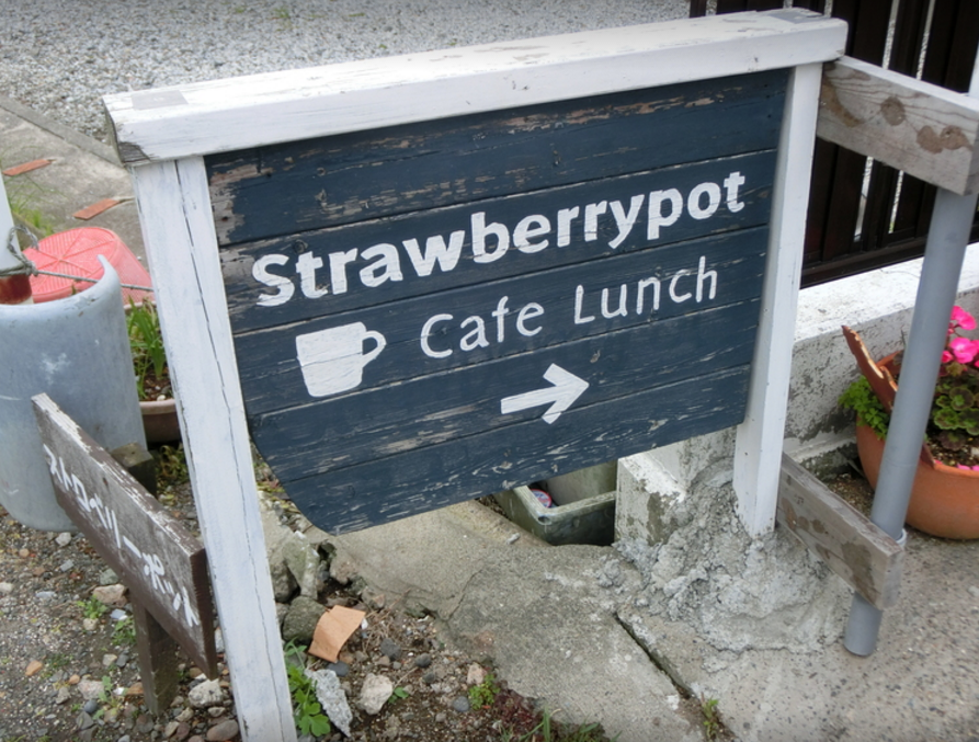 千葉県南房総市のドッグカフェ 海の見えるカフェ ストロベリーポットのサムネイルのサムネイル1枚目