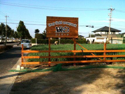 愛知県一宮市のドッグカフェ Dog Field Wowpark 腕白のサムネイルのサムネイル1枚目