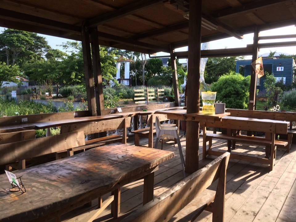 千葉県銚子市のドッグカフェ 海のそばのハーブ園ハーブガーデンポケットの6枚目