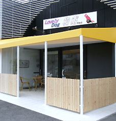 兵庫県伊丹市のドッグカフェ Lovely Dog 和庵のサムネイルのサムネイル2枚目