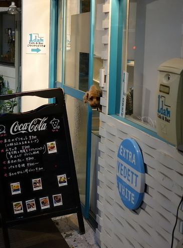 東京都新宿区のドッグカフェ Cafe&Bar 1danのサムネイルのサムネイル1枚目