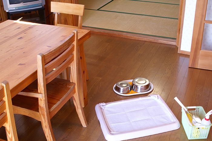 長野県安曇野市のドッグカフェ 安曇野わんわんパラダイスJrのサムネイル2枚目