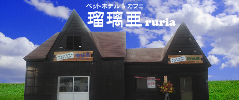 長野県飯山市のドッグカフェ ペットホテル&カフェ瑠璃亜のサムネイルのサムネイル1枚目