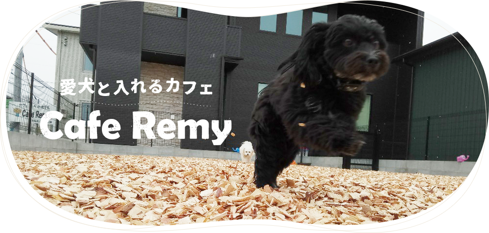 神奈川県平塚市のドッグラン Cafe Remyの1枚目