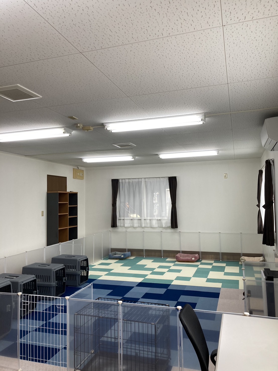 天然芝のドッグラン