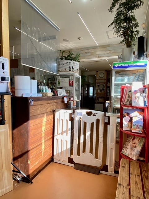 新潟県新潟市西区のドッグラン Natural Therapy Salon わんダーらんの2枚目