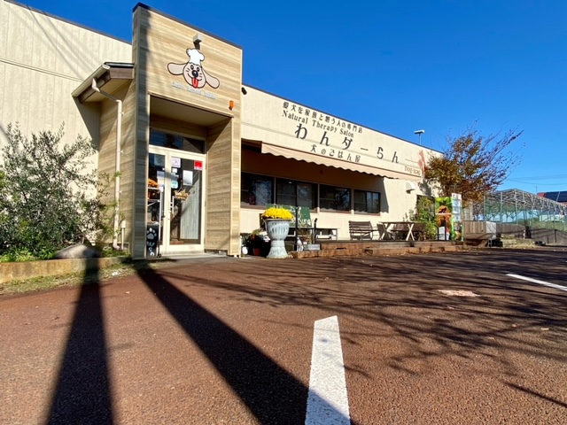 新潟県新潟市西区のドッグラン Natural Therapy Salon わんダーらんの1枚目