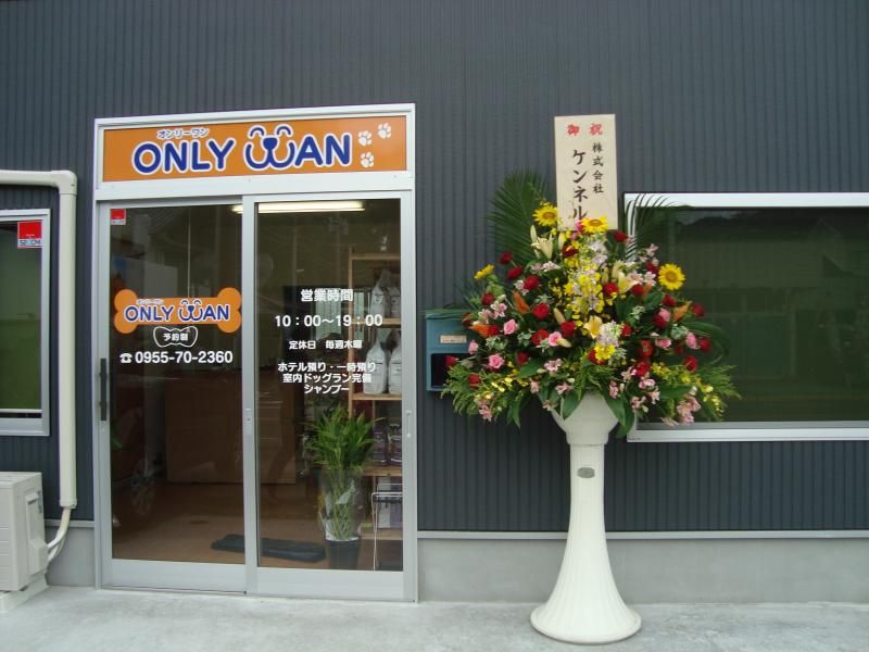 ONLY WAN のサムネイル