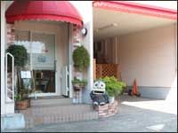 熊本県熊本市中央区のドッグラン cafe de nanaのサムネイルのサムネイル1枚目