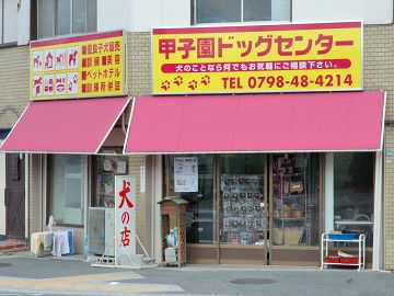 兵庫県神戸市北区のドッグラン 兵庫石賀ドッグスクールのサムネイルのサムネイル2枚目