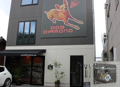 東京都立川市のドッグラン DOG DIAMONDの2枚目