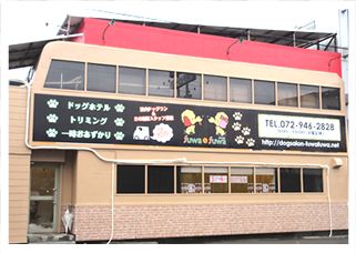 大阪府八尾市のドッグラン DogSalon fuwa-fuwa 八尾店の2枚目