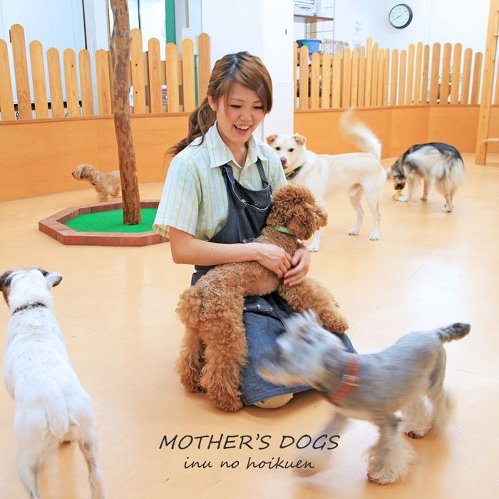 福岡県福岡市中央区のドッグラン MOTHER’S DOGS　のサムネイルのサムネイル1枚目