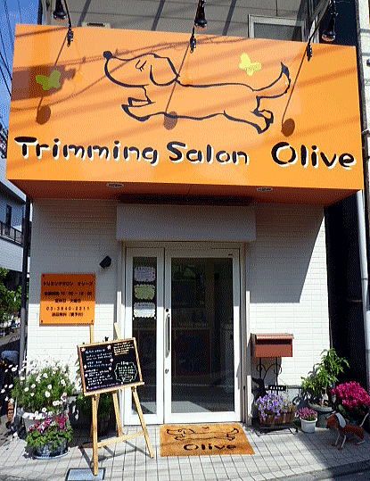 東京都足立区のドッグラン Trimming Salon Oliveの2枚目