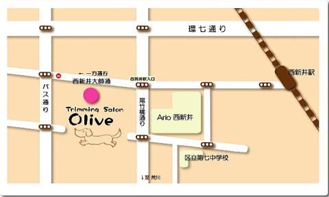 東京都足立区のドッグラン Trimming Salon Oliveの3枚目