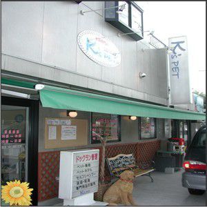 神奈川県横浜市青葉区のドッグラン K'sPETのサムネイルのサムネイル2枚目