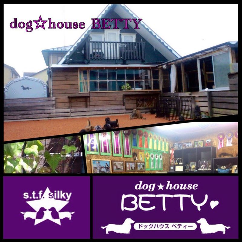 岐阜県各務原市のドッグラン dog house BETTYのサムネイルのサムネイル2枚目