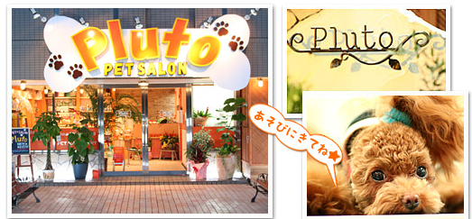 埼玉県川口市のペットホテル PetSalon Pluto 東川口店のサムネイルのサムネイル1枚目