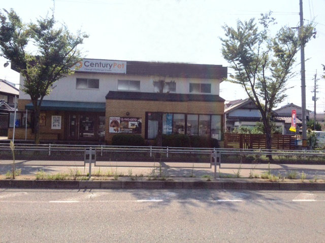 大阪府羽曳野市のペットホテル センチュリーペット羽曳野店のサムネイルのサムネイル1枚目