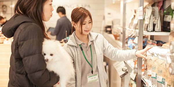 兵庫県神戸市灘区のペットホテル GREEN DOG SQUARE（神戸）の5枚目