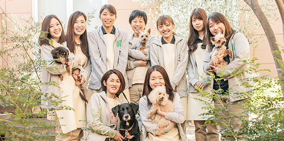 兵庫県神戸市灘区のペットホテル GREEN DOG SQUARE（神戸）の3枚目